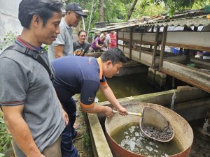 FajarPaper Dukung Ekonomi Berkelanjutan dan Kebersihan Lingkungan dengan Fasilitas Bibit Lele dan Unit Tempat Sampah