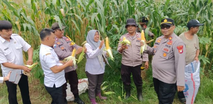 56be54e4745e1c130b15ad9df018bc3d635977343516d41fb7beeb7de4c2f5ed.0