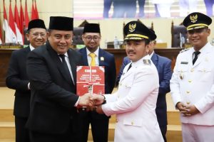 Sejarah Kemenangan PDIP dalam Pilkada Kabupaten Bekasi 2024 Diraih Ade Kunang