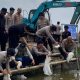 Dukung Ketahanan Pangan, Polda Metro Jaya Tebar 21.000 Benih Ikan di Muaragembong